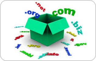domain name registration